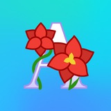 Программы Ангелины Карпасовой