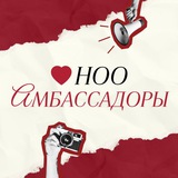 амбассадор - ноо