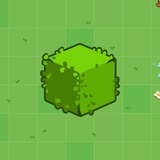 Farm Land