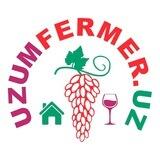 WINE FESTIVAL 3.0