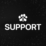 PAWS🐾 Support Bot