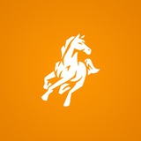 White Horse Payment