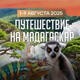 Путешествие на Мадагаскар