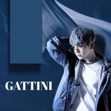 GATTINI’S BOT.