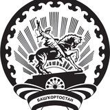 Инсайдер Башкортостан - обратная связь