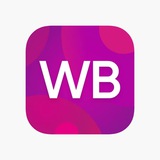 Wildberries Аналитика