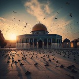 بَسْمَةُ الأَقْصَىٰ ||🇵🇸🔻