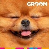 Groom Academy