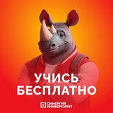 СИНЕРГИЯ бесплатно