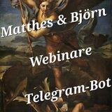 Matthes-Björn_WebinarBot