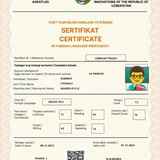 Multi-Level INTENSIVE Course