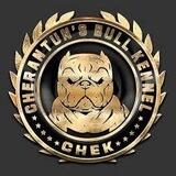 Kennel PR