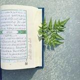 بوت الـتواصل 🌿.