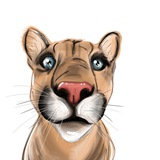 I_am_Puma