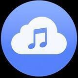 🎧Audio Name🎼