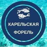 Карельская Форель