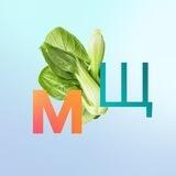 Ассистент МЩ
