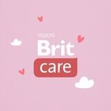 Амур-рный чат-бот «Brit»