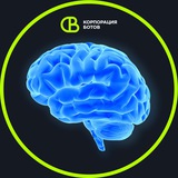 Тесты и Опросы 🧠 Бот