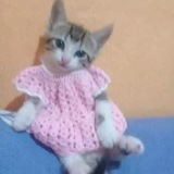 بوت القناة