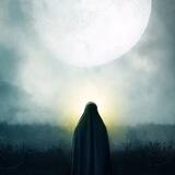 قَصائد
