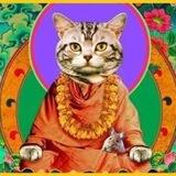 BuddhaBot