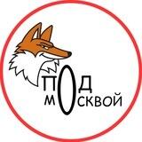 Под Москвой