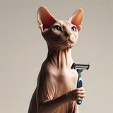 GilletteCat Meme Bot