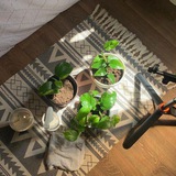 تَـبـآدل 💚🌿