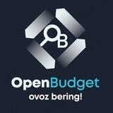 Open Budjet Bot