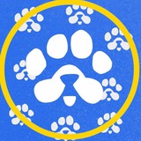 AutoPawsBot - Free Paws Auto Bot [By Click2Earn]
