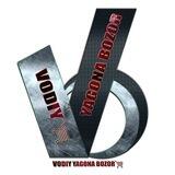 @V_YA_Bozor_adminbot