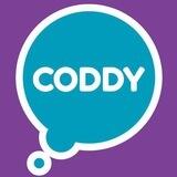 Coddy Раменское