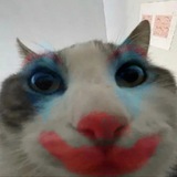 T2x2Webm