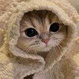 Темы | Языки | Эмодзи