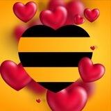 Beeline love 💛🖤