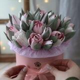 АКАДЕМИЯ ЗЕФИРА