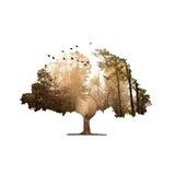Genealogy