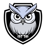 Hidnex VPN