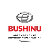 BUSHINUAUTO BOT