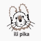 ili pika