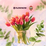 CSKA FLOWWOW QUEST