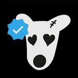 Dogs Airdrop 🦴