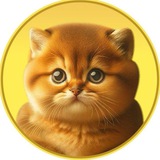 Passionate kitten Airdrop