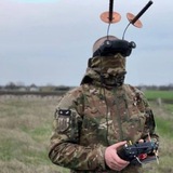 Шалена бджілка
