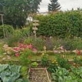 Garten_bot