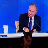 Связь с Подчинённым Путина