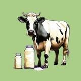 Milking a cows