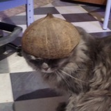 Это бот