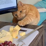 Stark checker